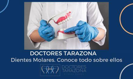 Dientes molares: conoce todo sobre ellos